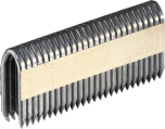 Senco fencing staple Hot Dipped Galv. 3.15mm x 40mm Inc 2 fuel cells (Box 2100)  