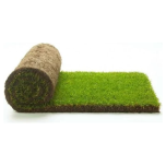 Real Grass Turf Roll 1M²