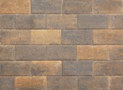 Pavedrive Pavior 200 X 100 X 50 Burnt Ochre (Per 1M²)