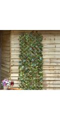 Maple Leaf Willow Trellis - 180 X 90Cm