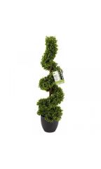 Topiary Twirl 90Cm