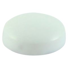 Screw Caps - Plastidome White (Bag Of 100)