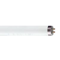 Fluorescent Tube T8 36W 4Ft