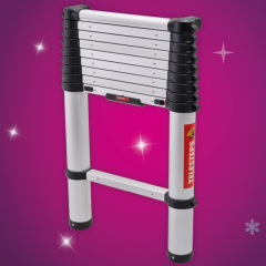 Telesteps  - Eco Line 3m Telescopic Ladder