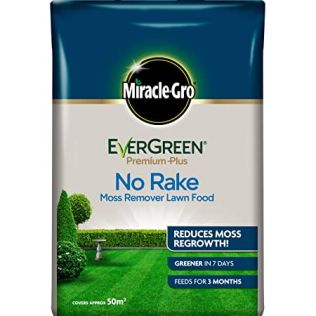 Evergreen No Moss No Rake 50M
