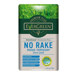 Evergreen No Moss No Rake 100M