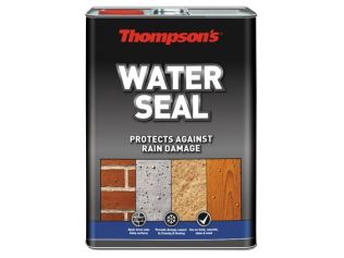 Thompsons Water Seal 1L