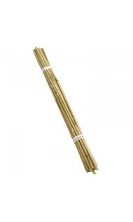 Bamboo Canes 90Cm - Bundle Of 20