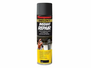 Instant Repair Mastic Spray 450G