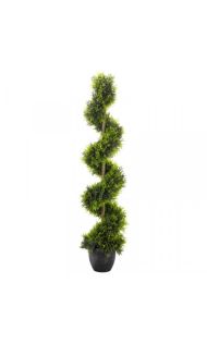 Cypress Topiary Twirl - 120Cm 