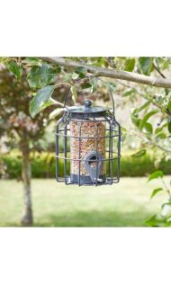 Squirrel Proof Seed Feeder