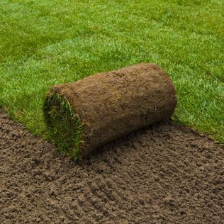 Real Grass Turf 1M2 Roll