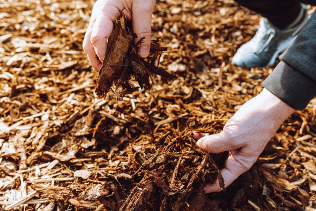 Mulching Garden